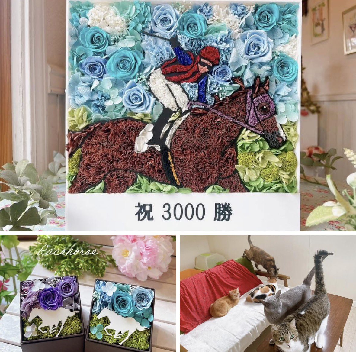 動物のお花屋マイペリドット［花屋&カフェ］ tweet media