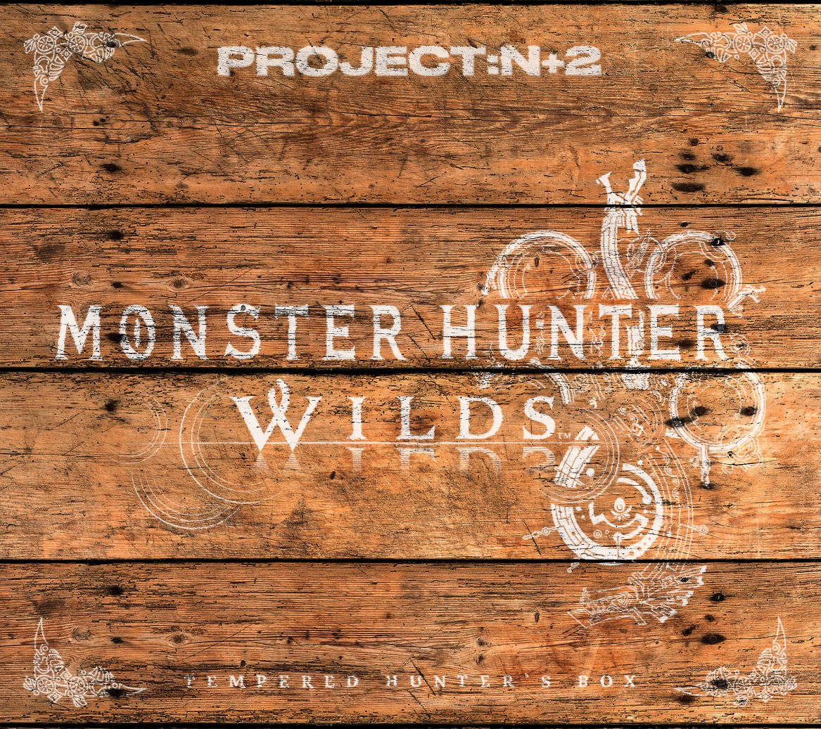 Project N2 tweet media