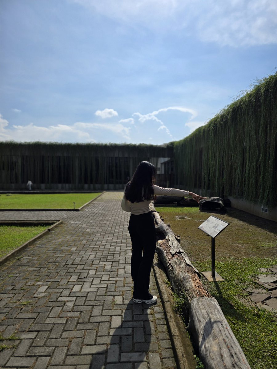 诺莫49 ೀ tweet media