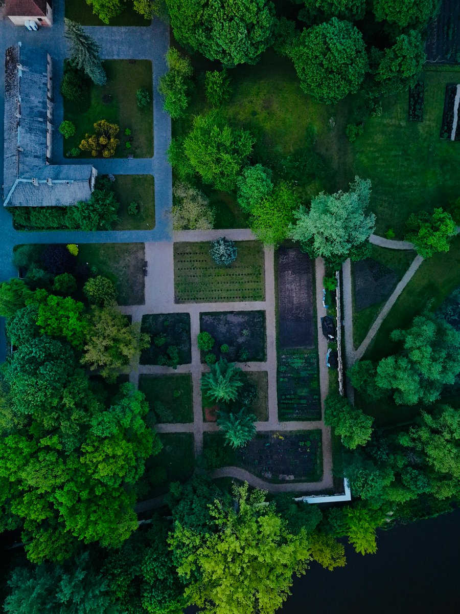 maram.43 tweet media