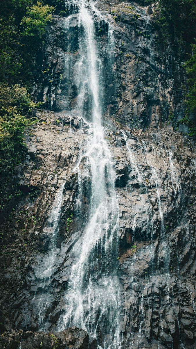 maram.43 tweet media