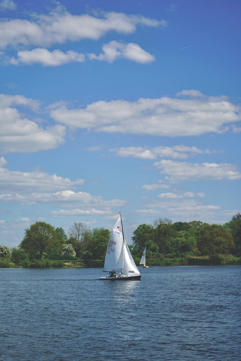 Billy Hallowes tweet media