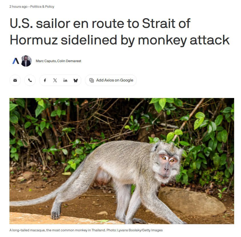 Arya Yadeghaar (Backup) tweet media