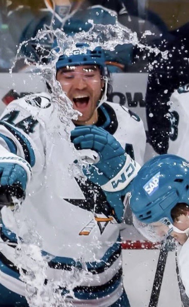 hay 🦈 tweet media