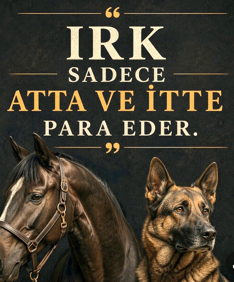 ⚜️Jxlhš tweet media