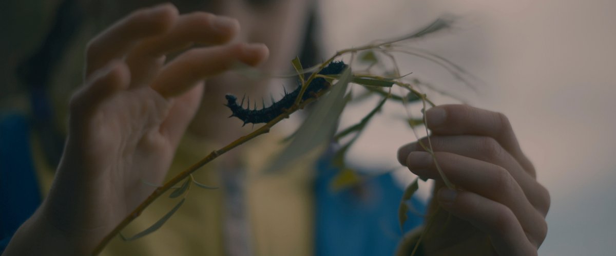 FilmFrame tweet media