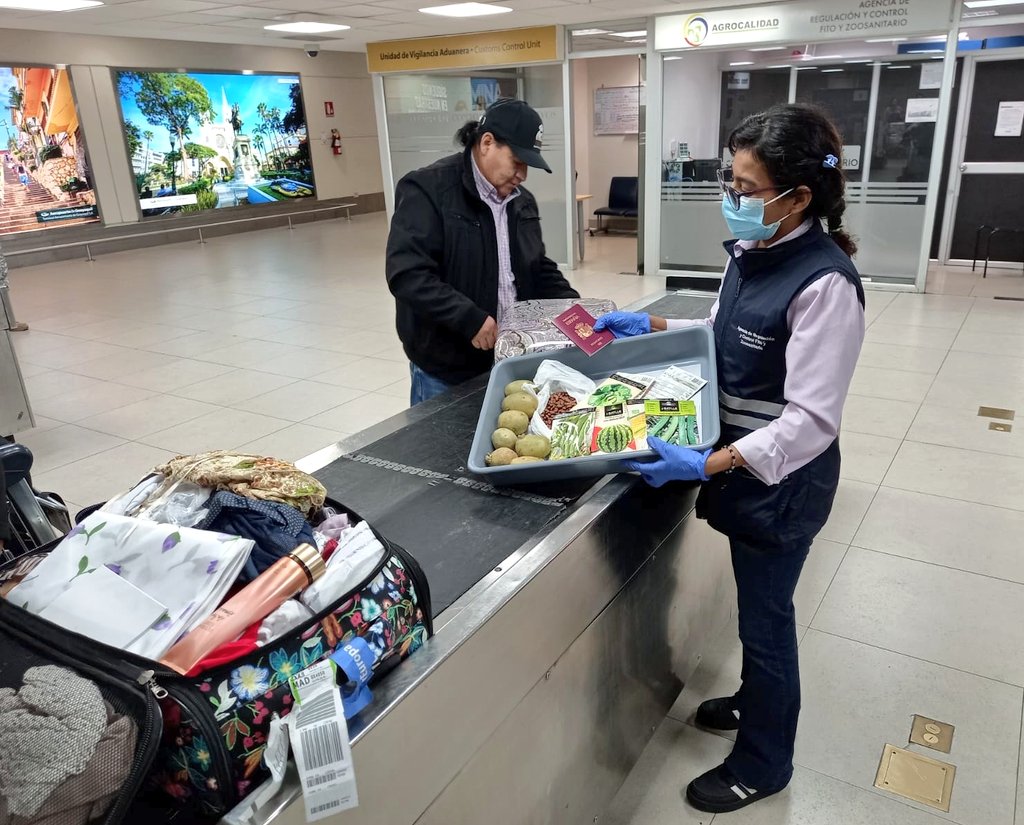 AgrocalidadZ5's tweet image. #Guayas | ✈️🧳 Fortalecemos los controles fito y zoosanitarios a pasajeros y equipajes de vuelos internacionales en el Aeropuerto José Joaquín de Olmedo, para prevenir el ingreso de plagas y enfermedades que afecten la producción agropecuaria del país.