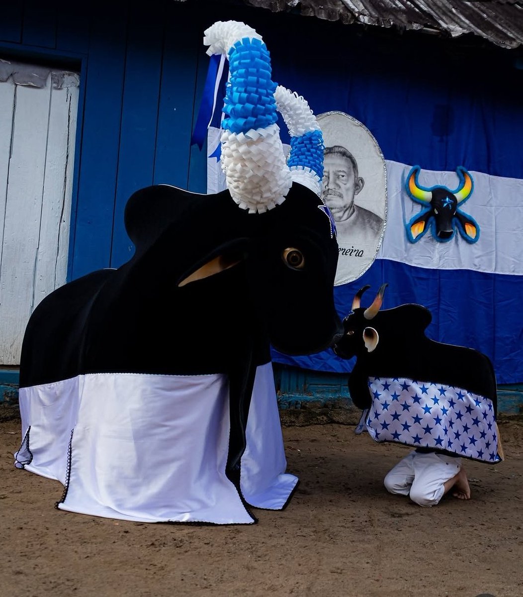 lettícia 🪇 tweet media