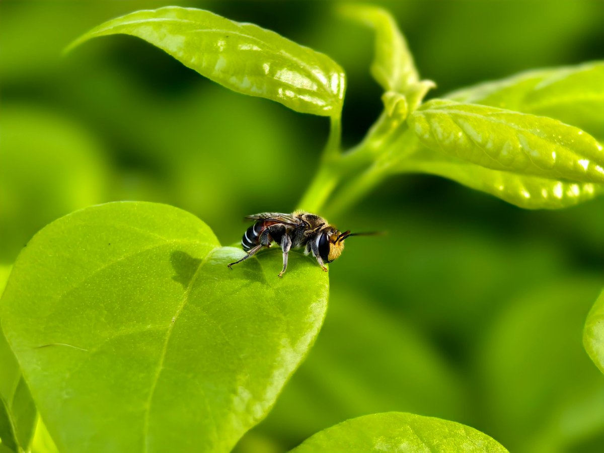 Danhya Calderón🌸 tweet media