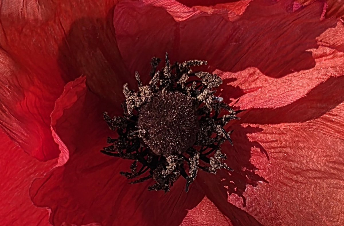 Alfredo Wasser tweet media