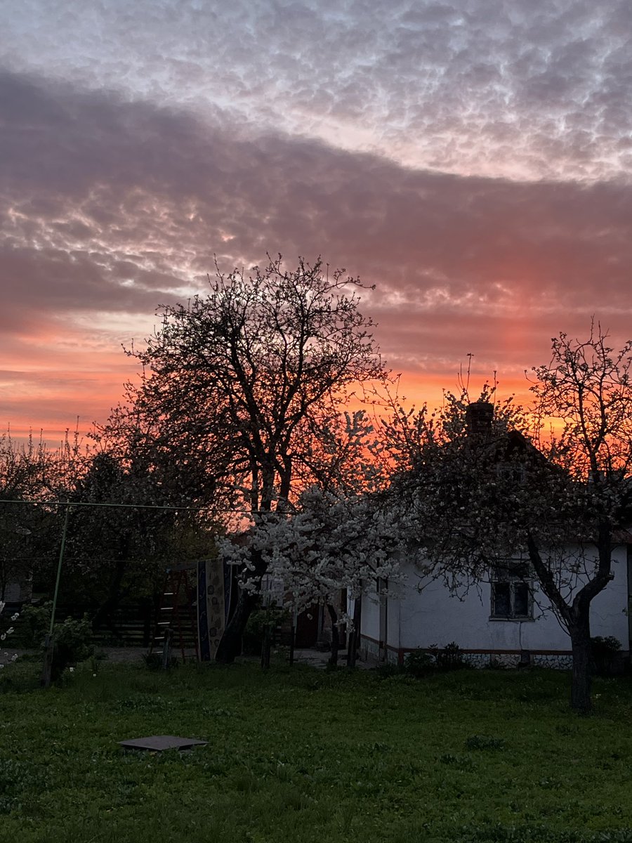 один з найгарніших заходів сонця, що я колись бачила. відчувається, як подарунок особисто мені напередодні дня народження ✨