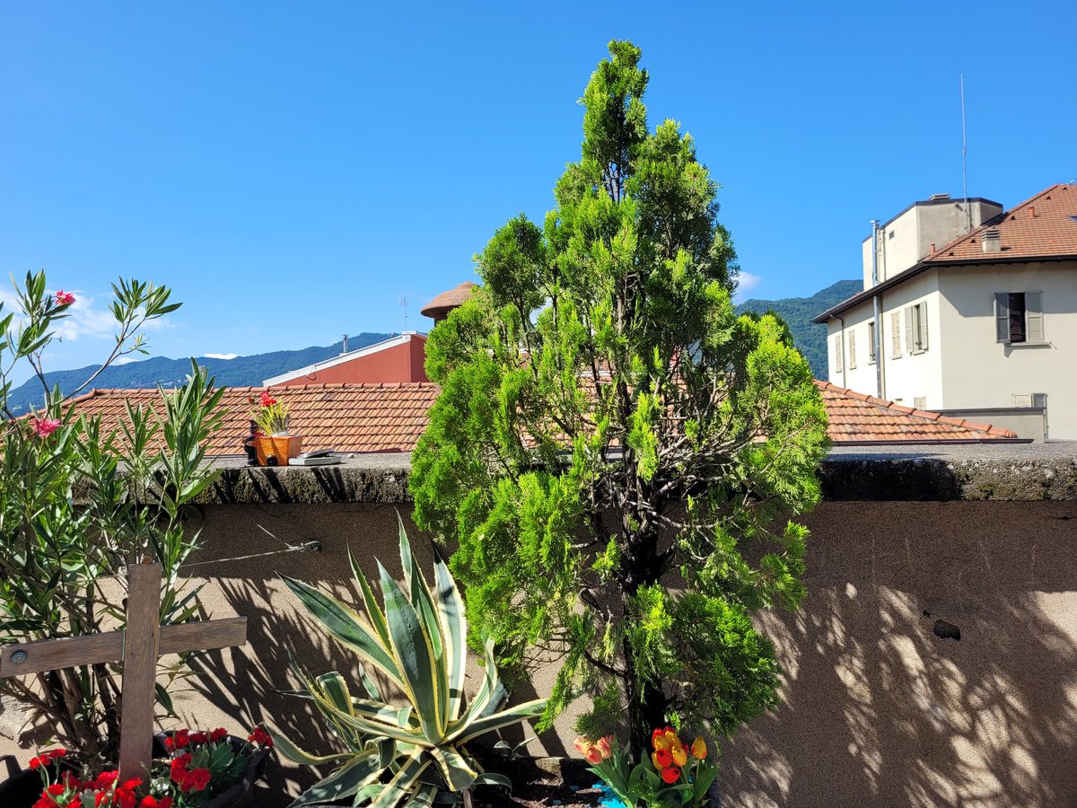 Alfredo Wasser tweet media