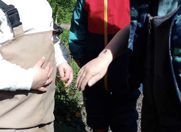 PreMilford's tweet photo. When a simple fly is as important as any insect or animal to young children! I was summoned to rescue one drowning in the FS pond and the children watched over it until it flew away! Such care and concern is wonderful to see @NewForestSussed @Natures_Voice https://t.co/uIXBv8t790