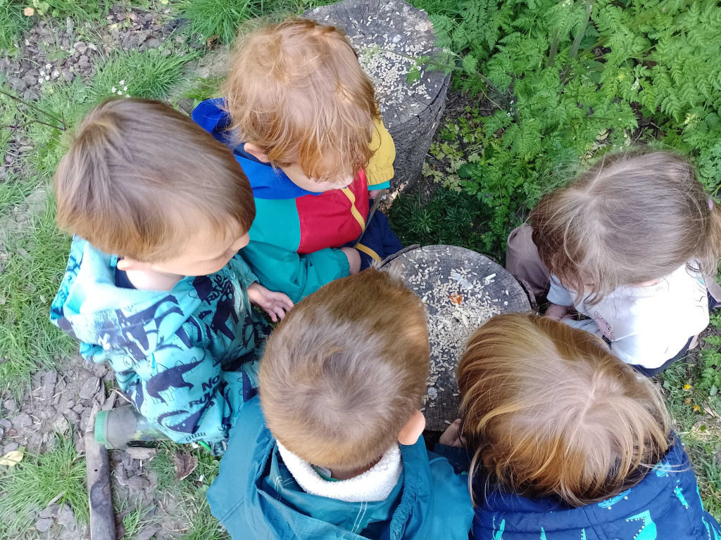 PreMilford's tweet photo. When a simple fly is as important as any insect or animal to young children! I was summoned to rescue one drowning in the FS pond and the children watched over it until it flew away! Such care and concern is wonderful to see @NewForestSussed @Natures_Voice https://t.co/uIXBv8t790