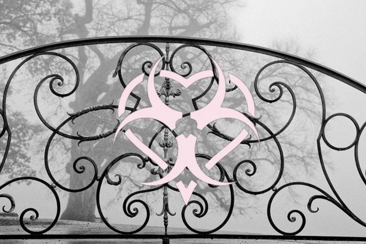 🧠 liv 𓊆ྀི❤︎𓊇ྀི tweet media