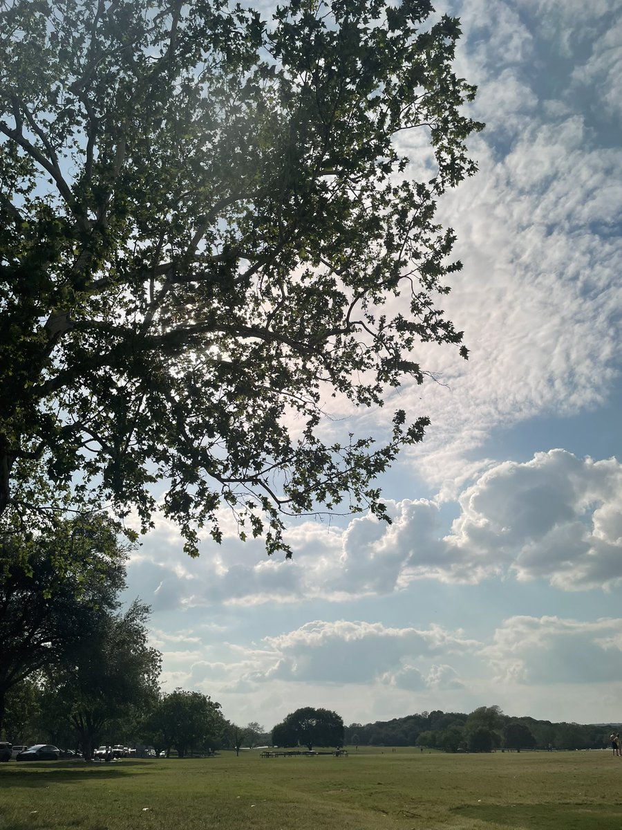 oscarrrr666's tweet photo. https://t.co/6Hpvemg1sC