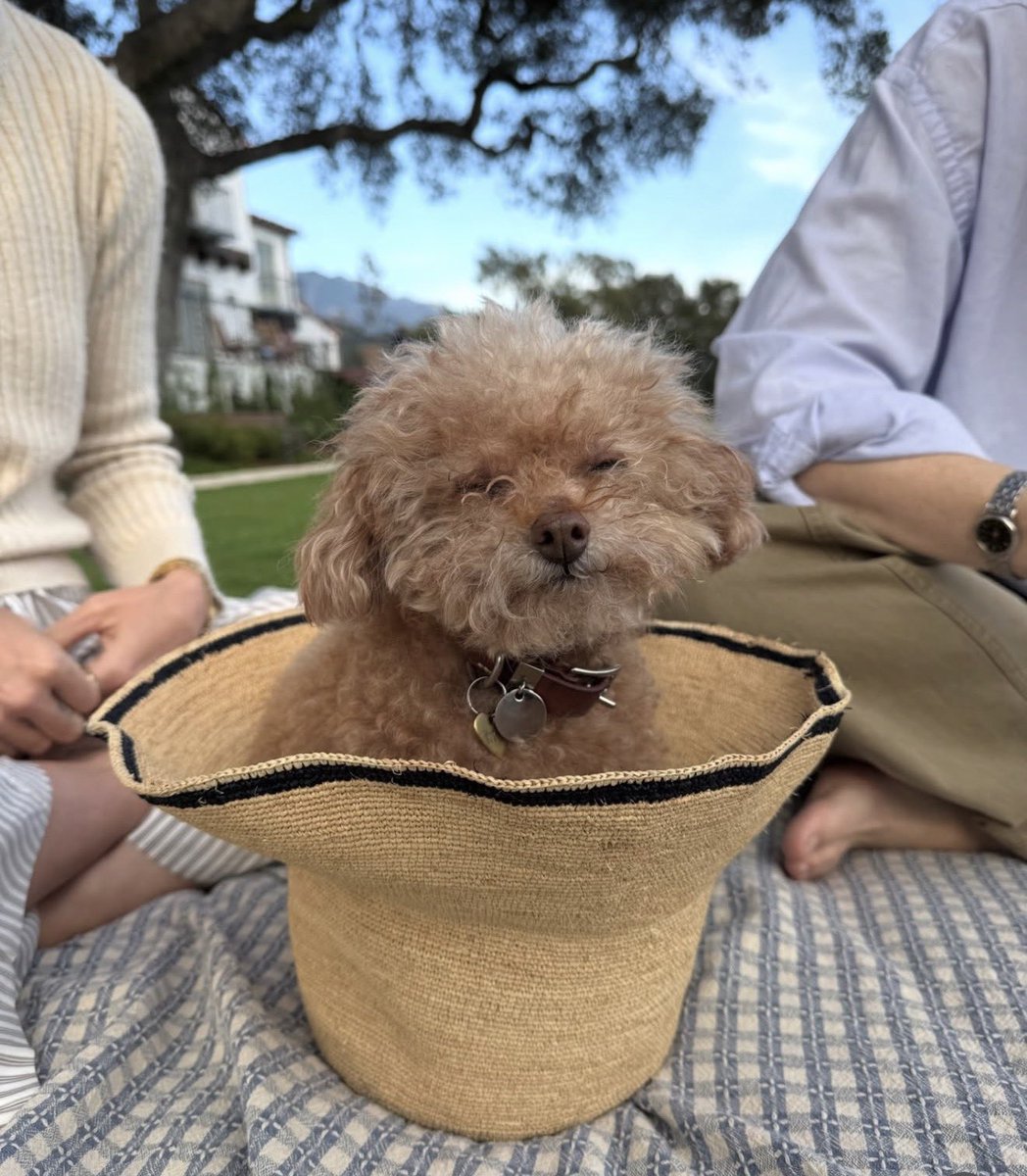 Okay who was at Paris N2 (TLT) and has footage or pics of LFN/or after the song like literally after