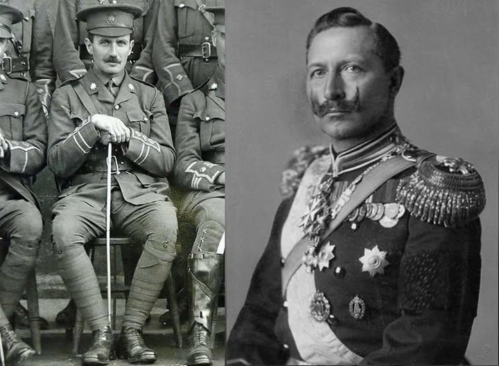 Die ganze Geschichte tweet media