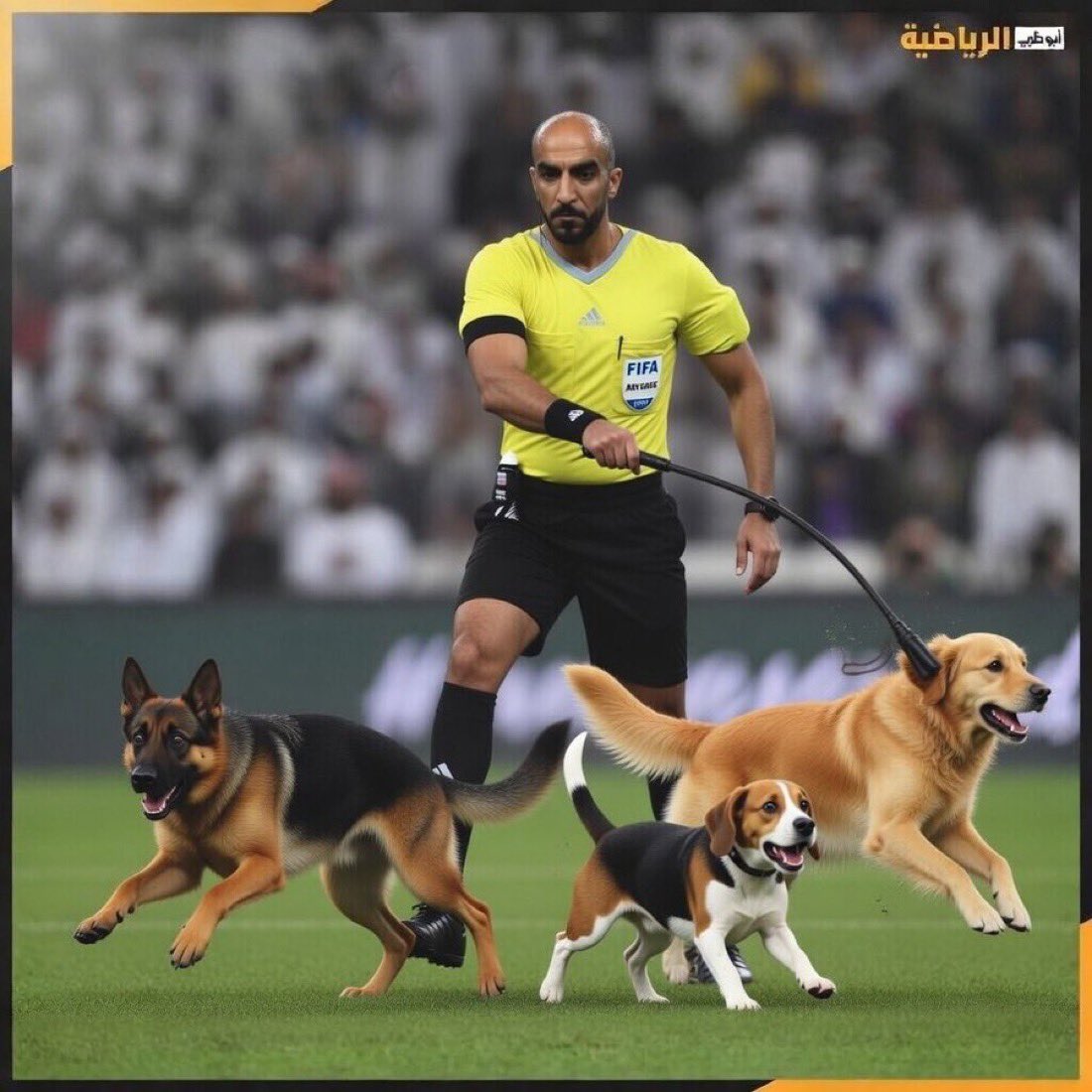 جاسم tweet media