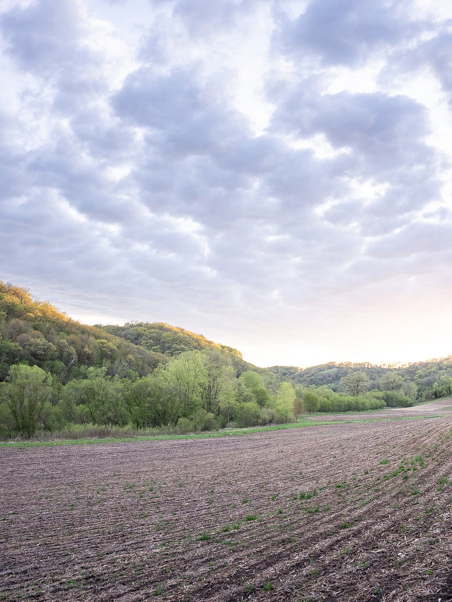 Whitetail Properties tweet media