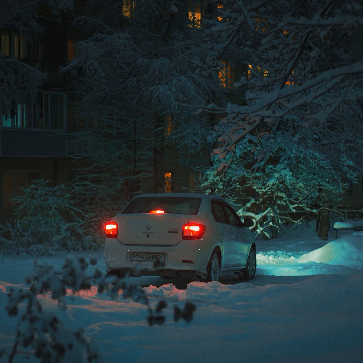 aleha_84 tweet media