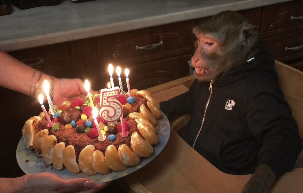 Bored Ape Yacht Club 🍌 tweet media