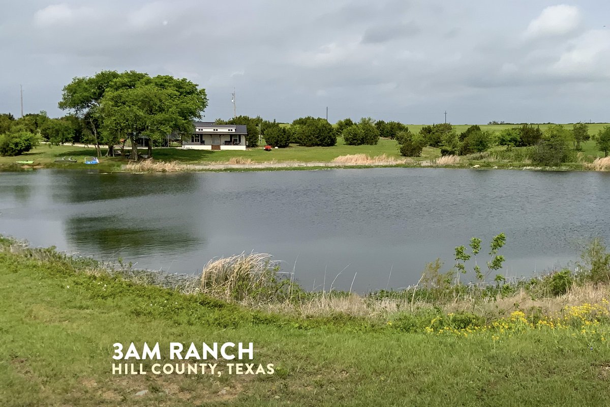 CSMlandbroker's tweet image. 💥New Listing!💥
3AM Ranch
45± acres
Hill Co, TX
csmandson.info/3am

Layne Walker
214.244.6484

#csmandson #forsale #land #landforsale #property #ranch #ranchforsale #realestateInvesting #texasranchforsale #texasranch #hunting #huntingranch #followers  #hillcounty #hillsboro
