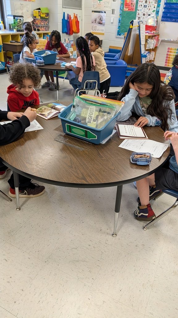 Redcliffe Elementary tweet media