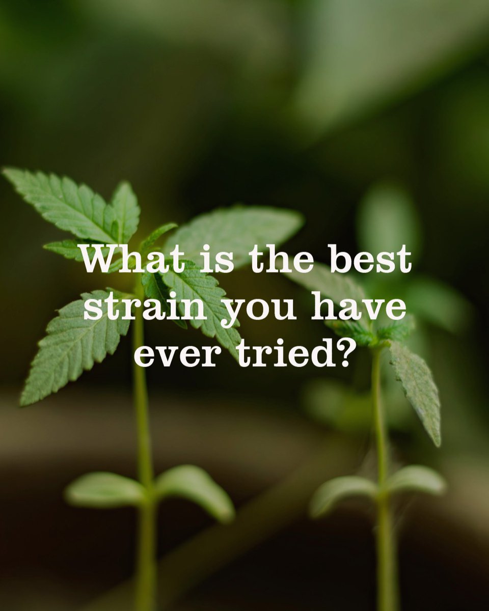 Seedsman tweet media