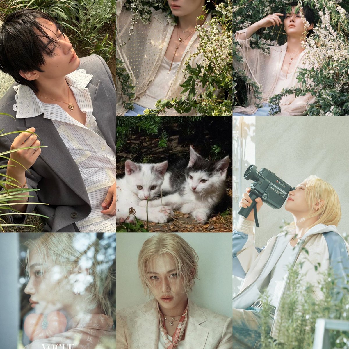 meow meow racha 🐾