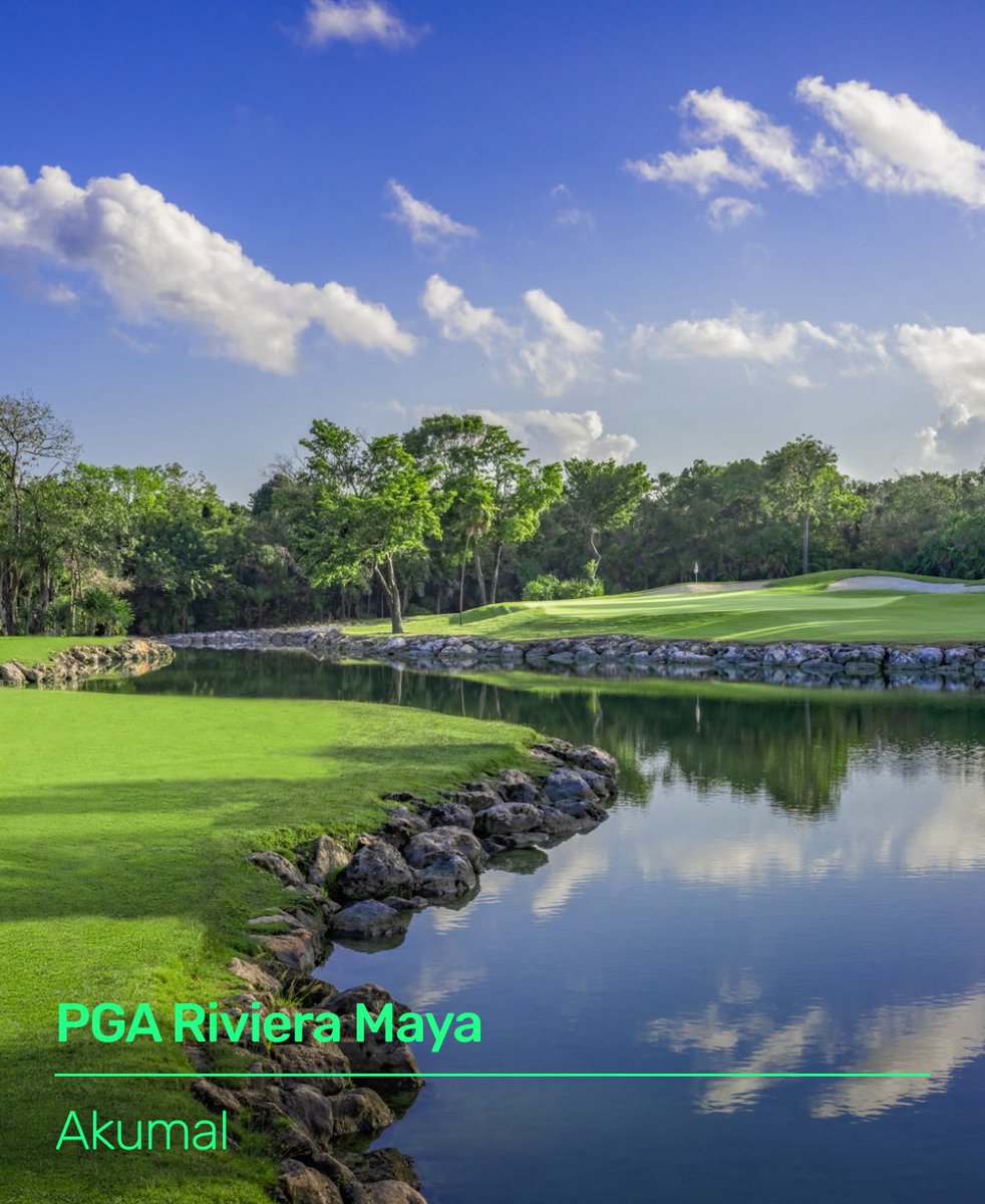 gogolfmx's tweet photo. 💥 PGA Riviera Maya llega a gogolf!

Ganador como el mejor campo de golf en México en los World Golf Awards 2024 y 2025, primer campo afiliado a la PGA of America en Latinoamérica, sede del Korn Ferry Tour y del Women's Amateur Latin America.

Diseñado por Robert Trent Jones II, este espectacular campo se integra de forma única con la selva maya, lagos naturales y cenotes, creando una experiencia de golf inmersiva en plena naturaleza.

Con un recorrido profesional de 18 hoyos par 72 y un campo de 9 hoyos par 3, PGA Riviera Maya es un verdadero santuario natural donde cada tiro se juega entre selva, agua y diseño de clase mundial.

Entra, reserva y juega.
Sin llamadas, sin membresías, sin complicaciones.

→ https://t.co/jiRF470abF

#GoGolf #GolfMexico #RivieraMaya #Tulum