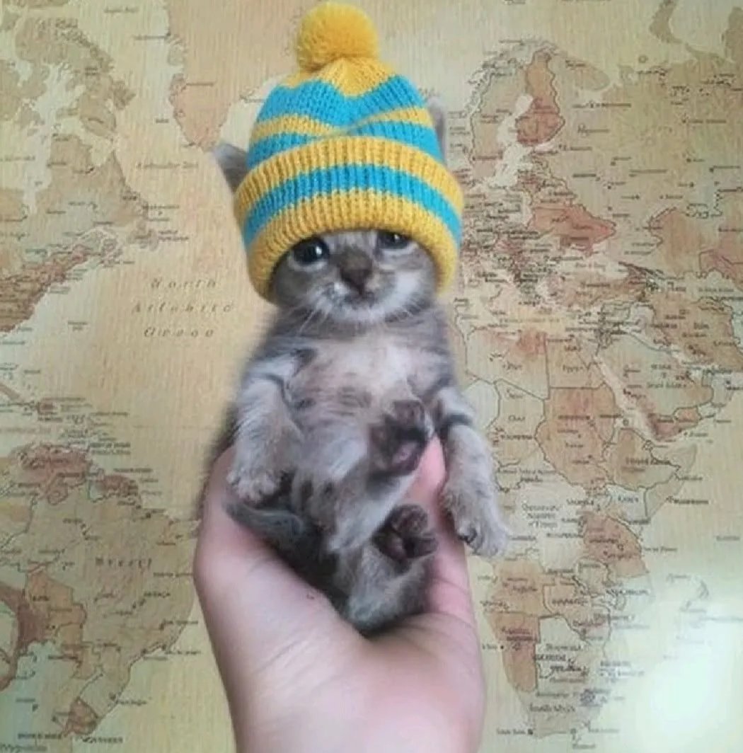 🍃Ⓐ𝕜𝕙𝕒𝕣𝕕.😼 tweet media