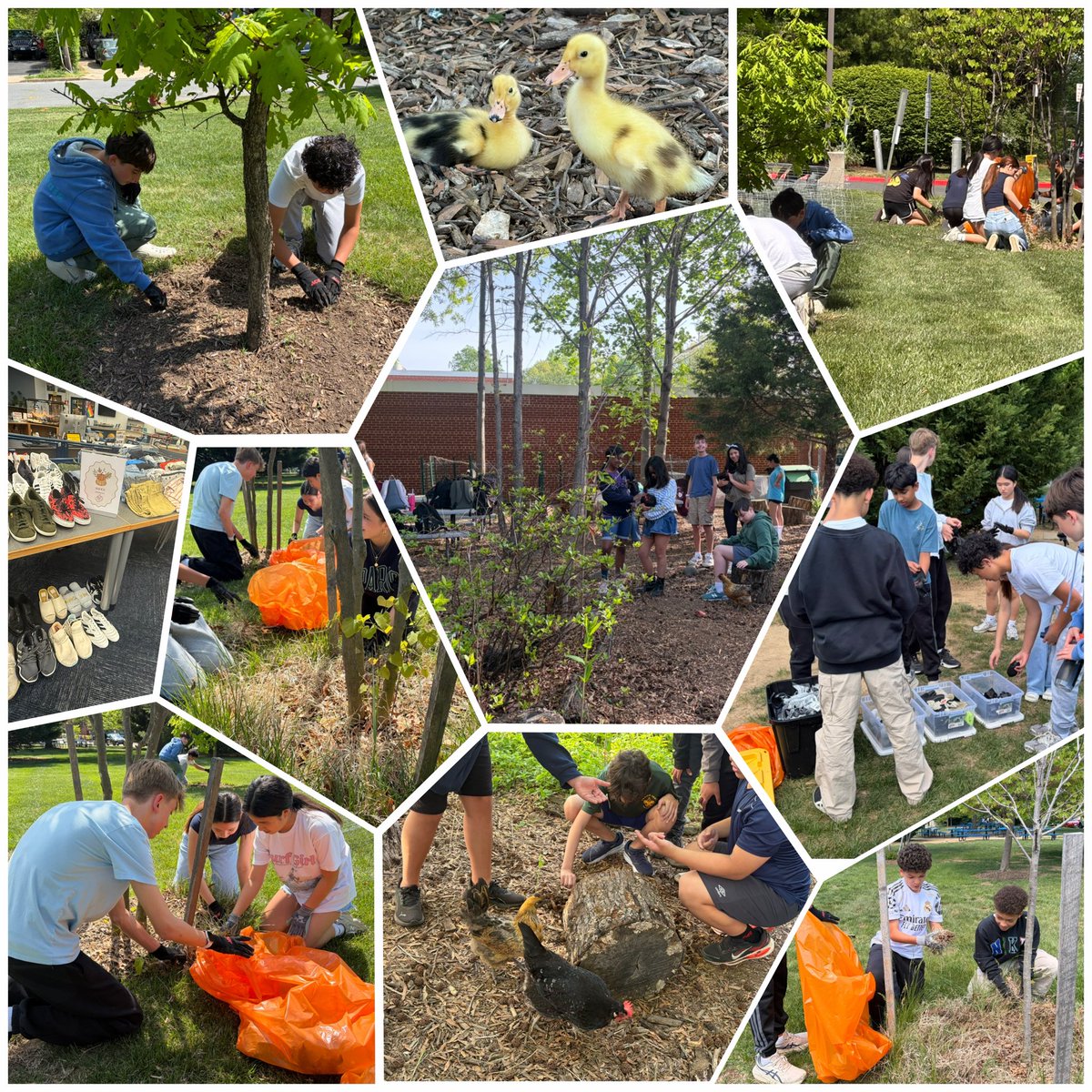 AlamFalam's tweet photo. Earth Day @kjms_fcps @fcpsGet2Green @FairfaxSchools @CityofFairfaxVA https://t.co/wUYMwwbwa0
