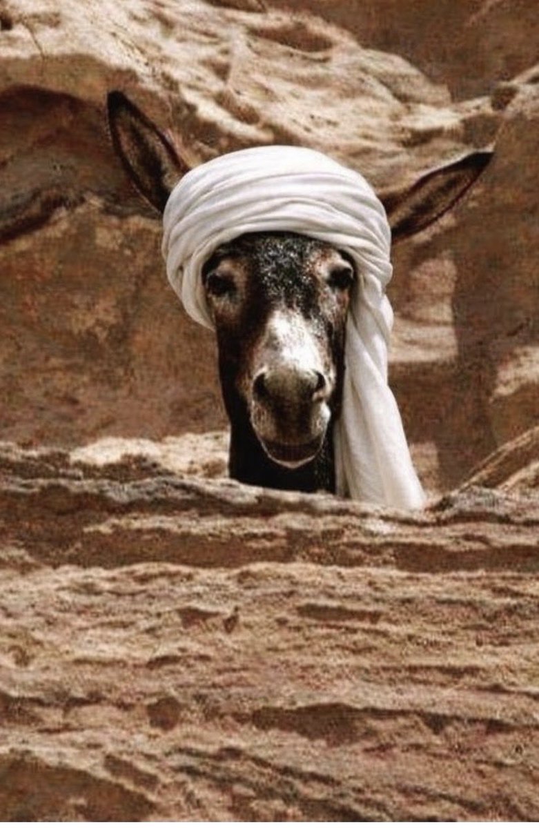 عبد الكريم الشمري tweet media