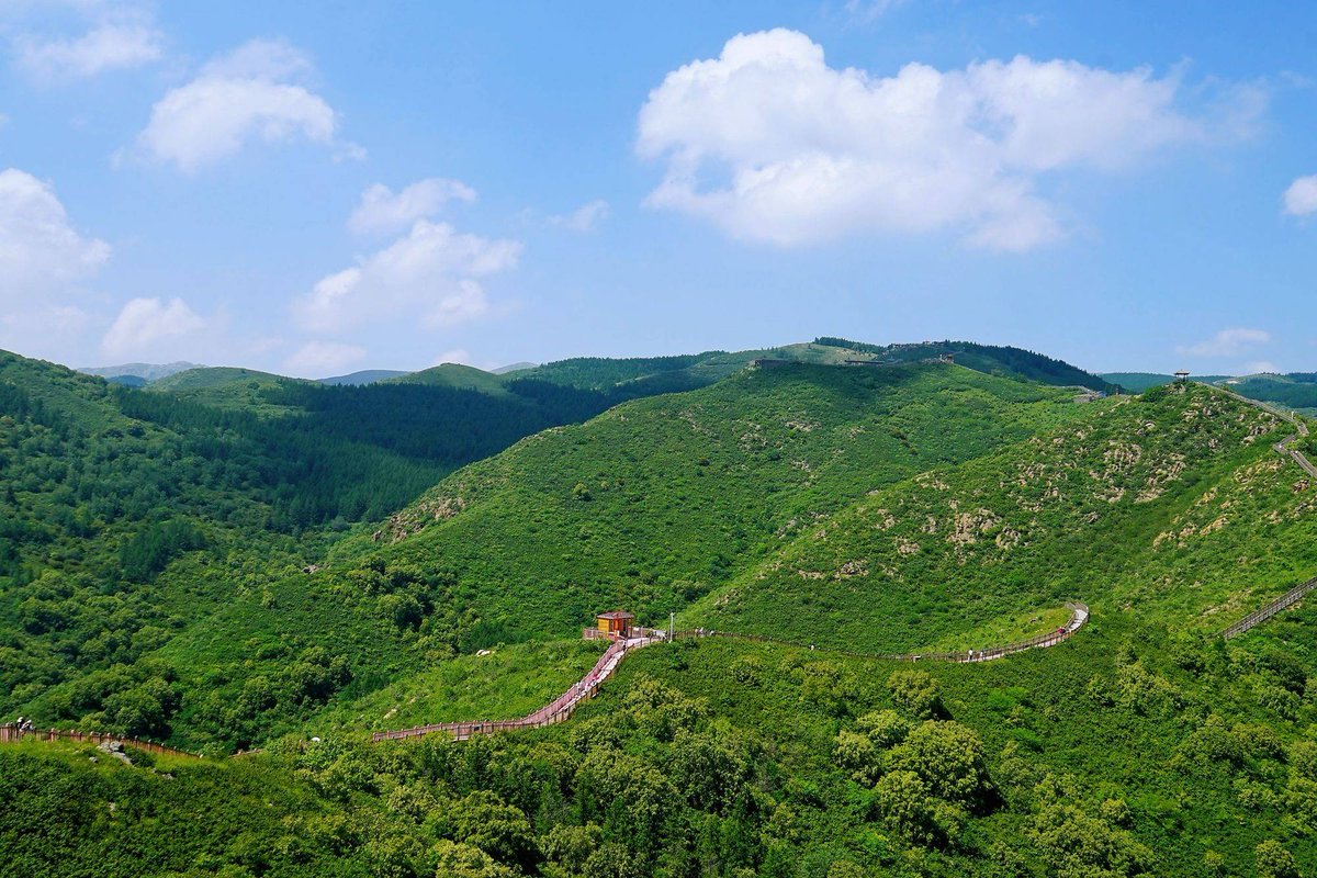 Edgar Robles tweet media