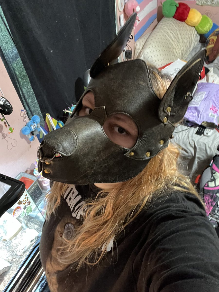 mikey• yes man’s pup☘️🐾 tweet media