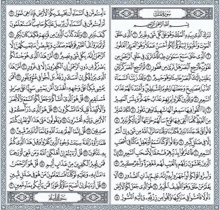 راء tweet media