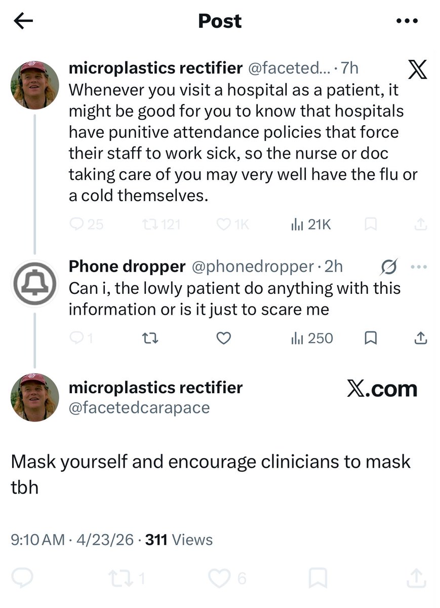 Pessimistic Persimmon tweet media