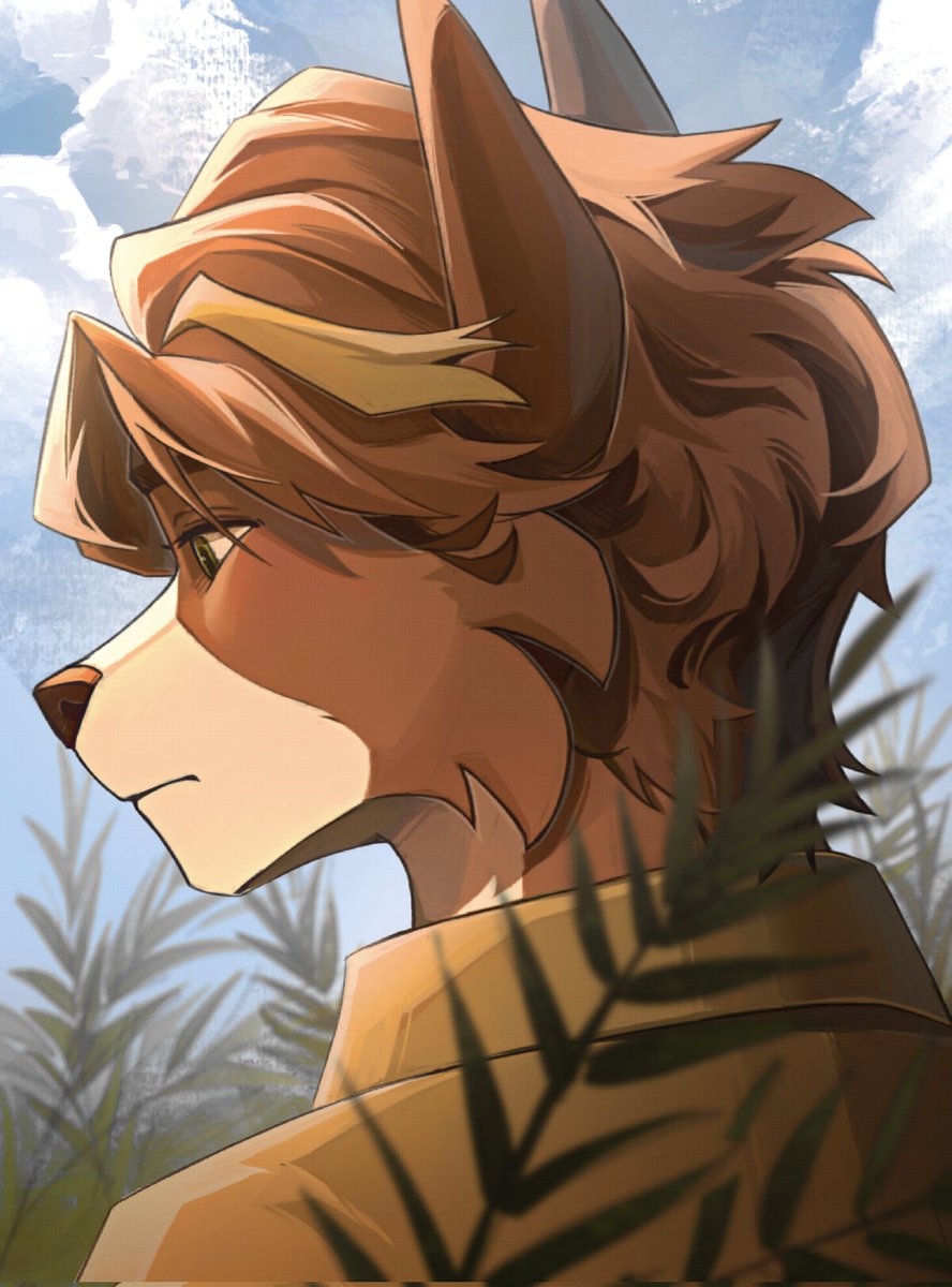 kane ✷ tweet media
