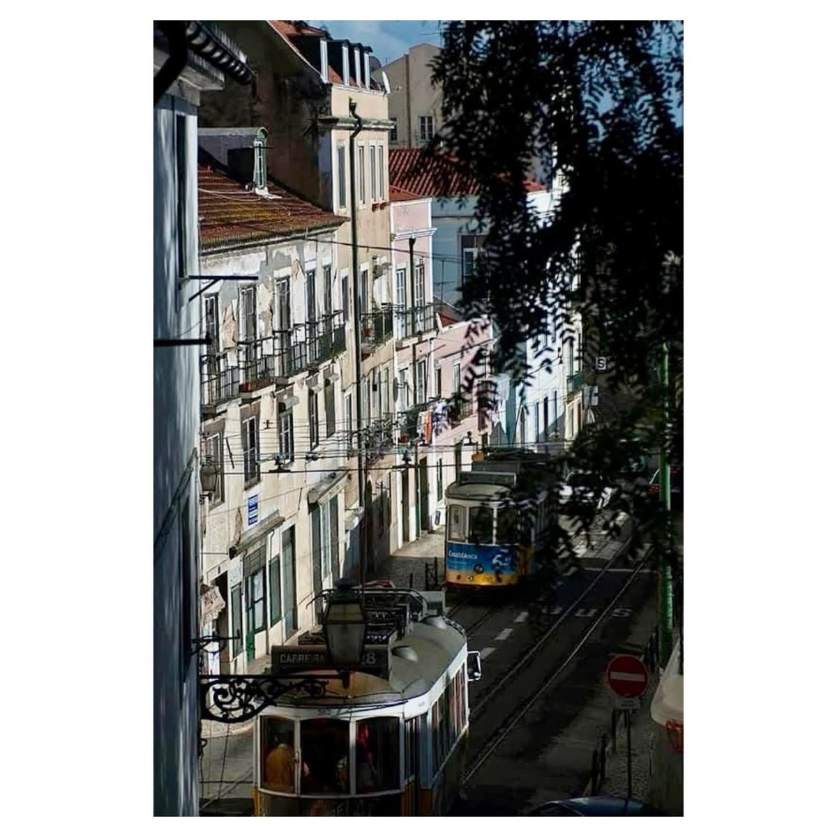 BoraPraPortugal's tweet image. 📍Lisboa 🇵🇹

#lisboa #lisbon #portugal #walkabout