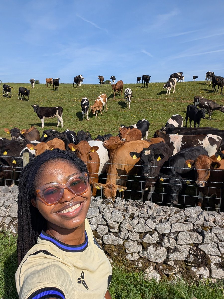 Name Cannot Be Blank tweet media