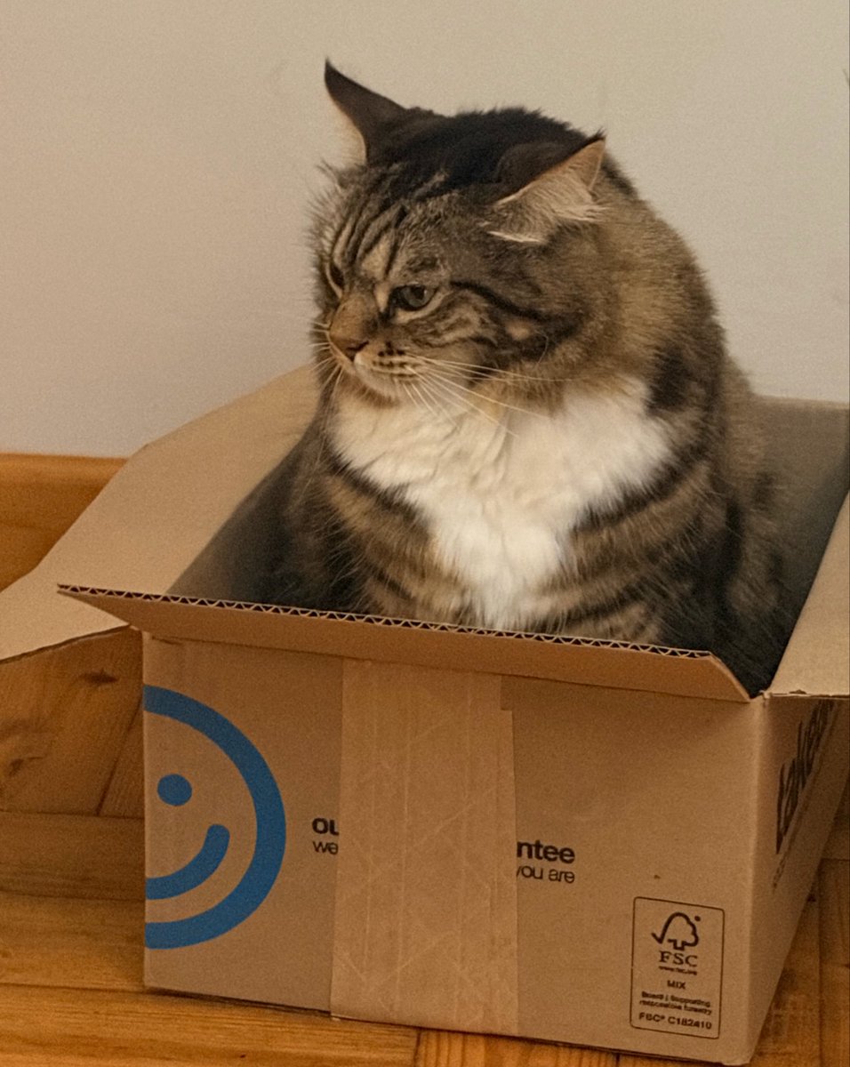 Sarah ✨ tweet media