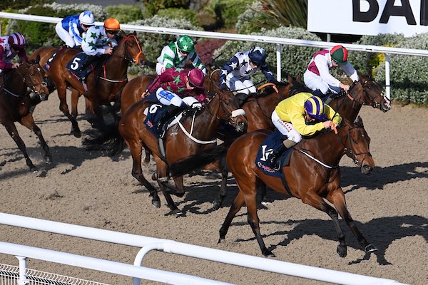 Gordon Elliott tweet media