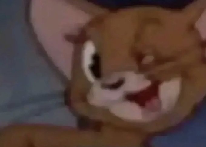 مريم tweet media