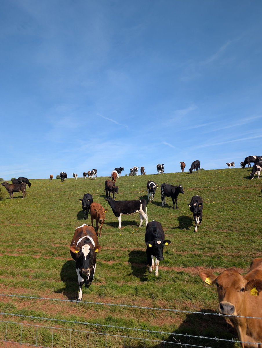 Name Cannot Be Blank tweet media