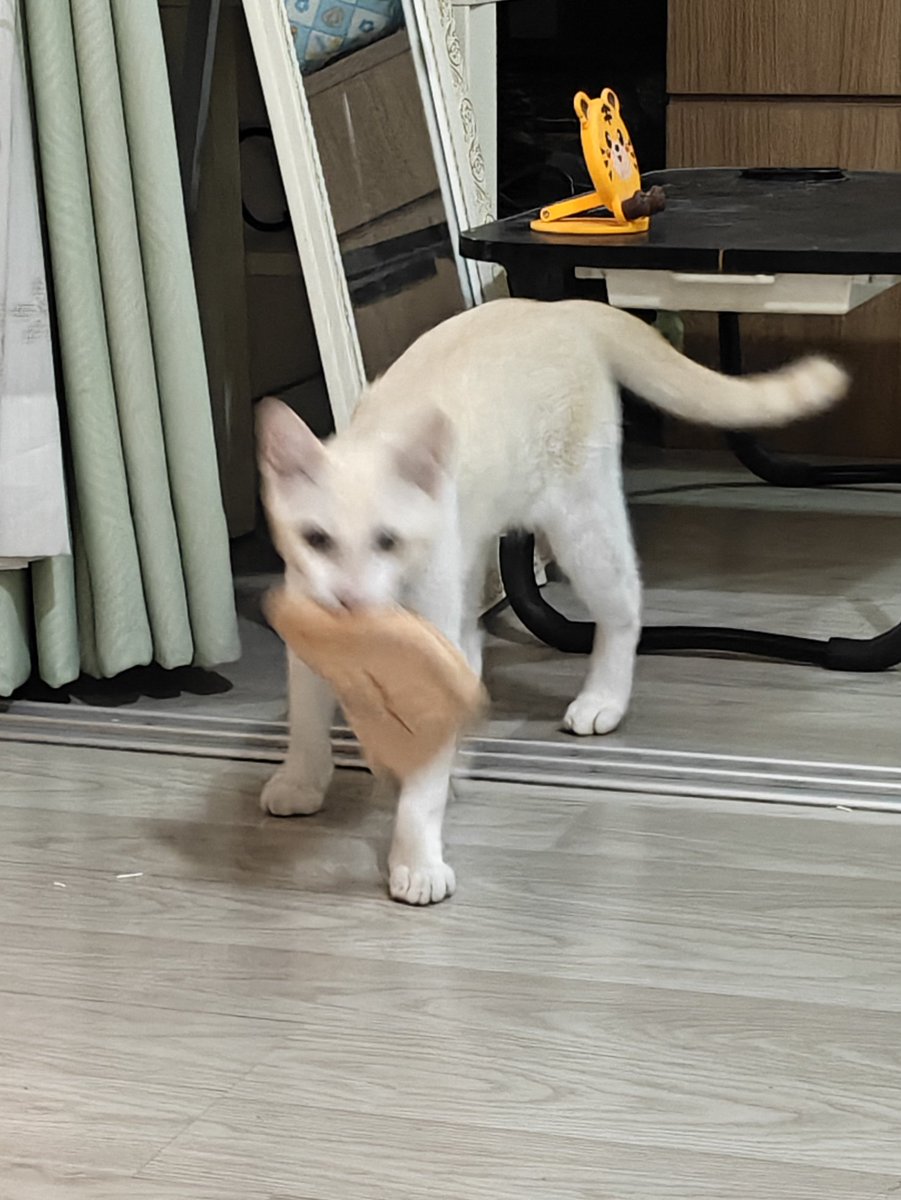 L i t t l e 🅶 🌸 W a r i n【EPR】 tweet media