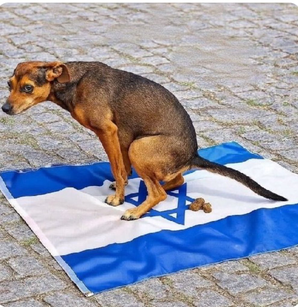 Donna Mugoh tweet media