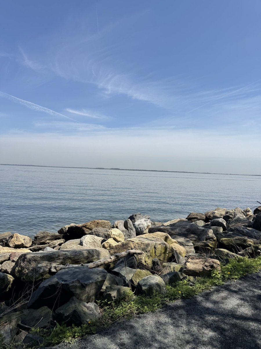 thats life tweet media