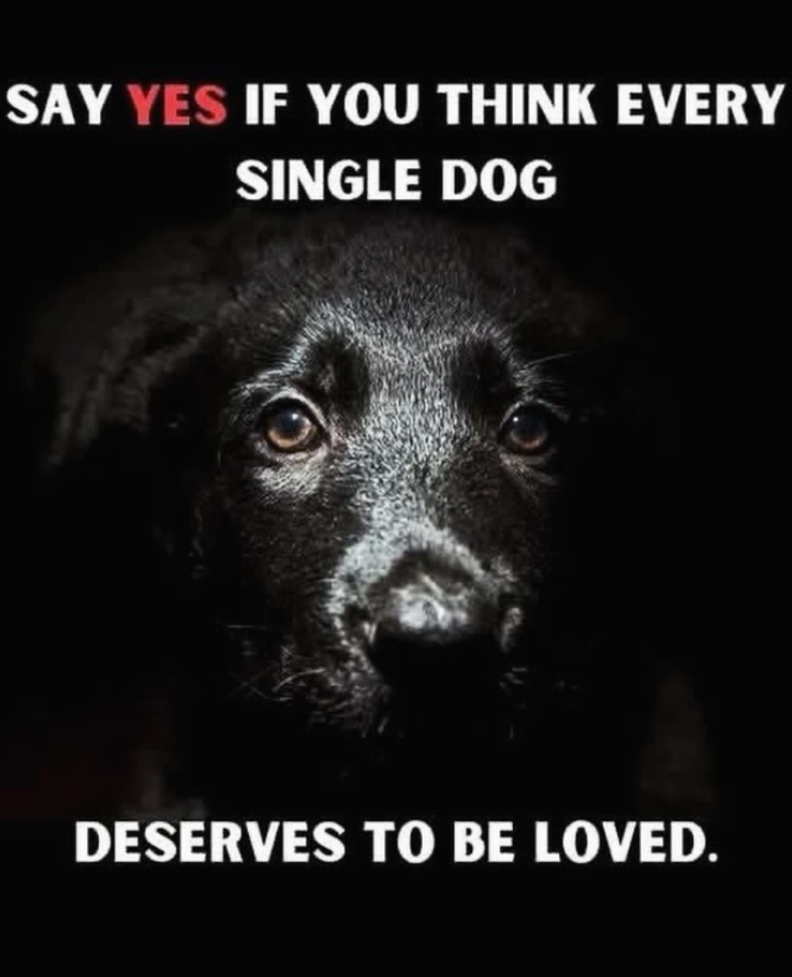 The Four Hearts tweet media