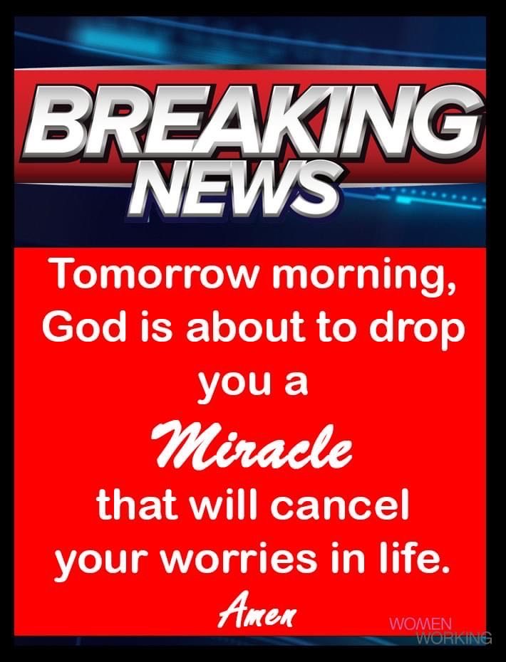 ProgressCode🌺 tweet media